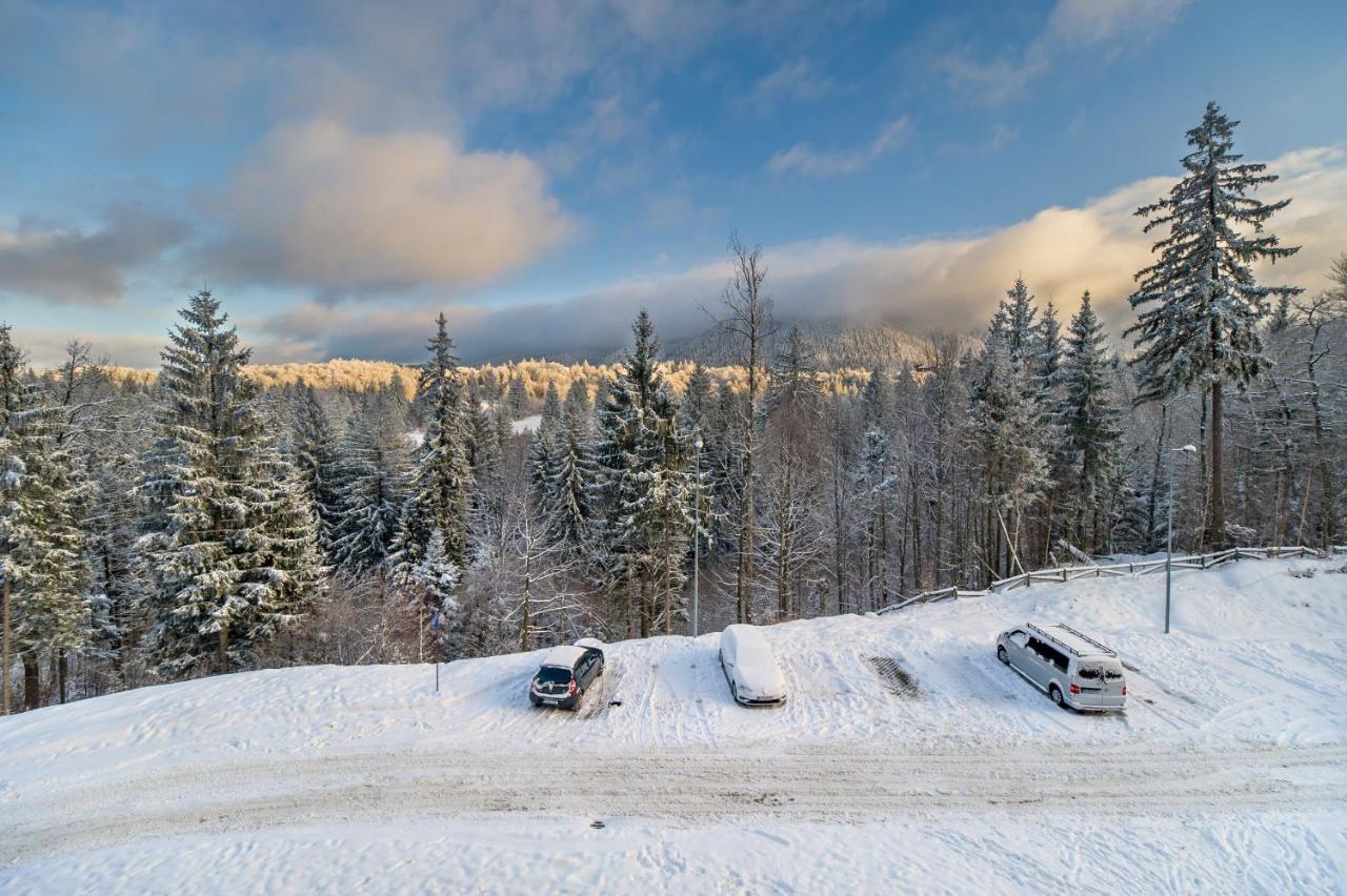 Silver Sunrise Studio In Silver Mountain Poiana Brasov Εξωτερικό φωτογραφία